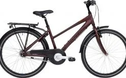 Winther 300 Pige 24"- 7 Gear - Rødbrun